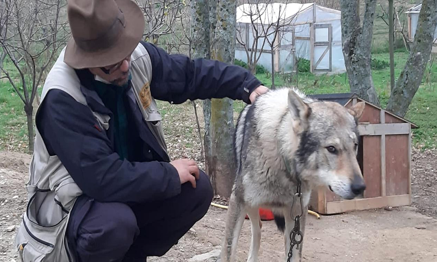 Steven beside a wolf in Le Marche, Italy